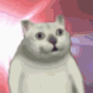 Meet your Posher, Leonard